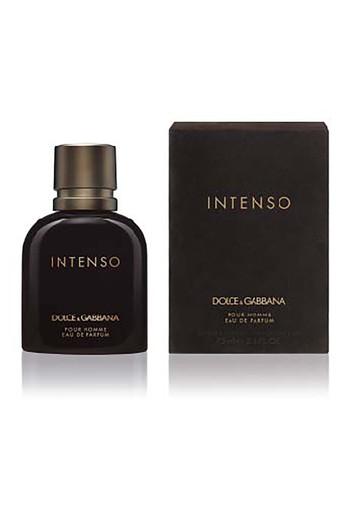intenso dolce and gabbana 75ml