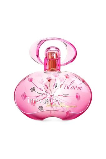 incanto bloom perfume