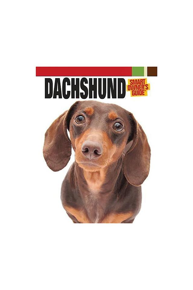 Buy Crossword Dachshund Smart Owner S Guide Kennel Club Books Interactive Series Shoppers Stop