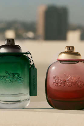 Coach cologne 2024 for women