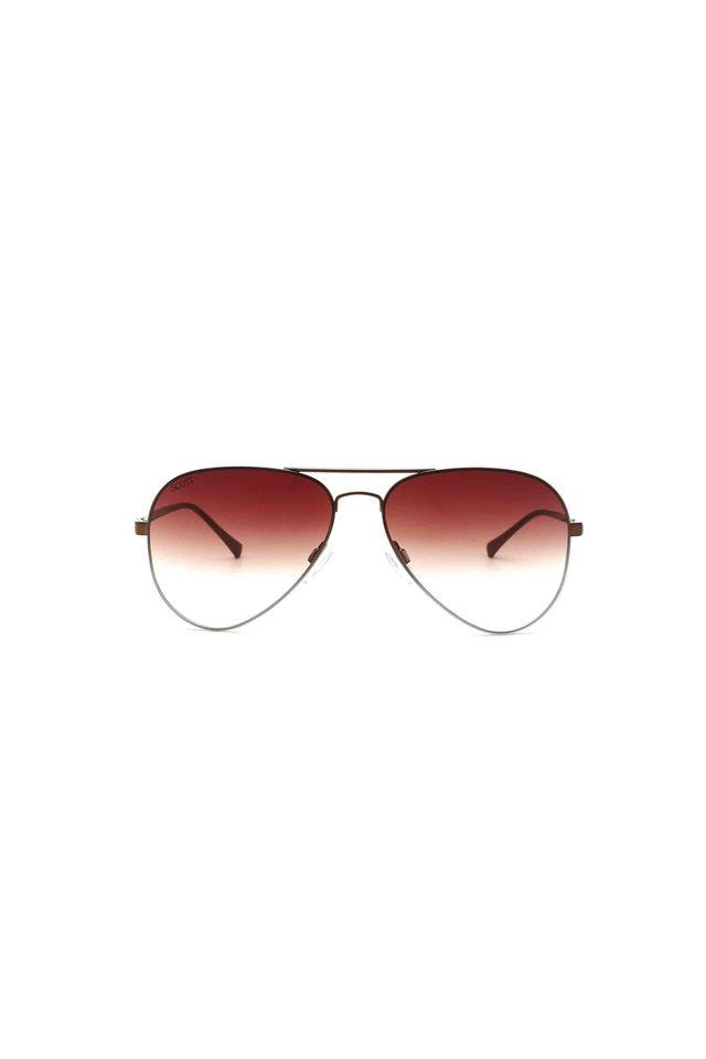 Scott polarized hot sale sunglasses