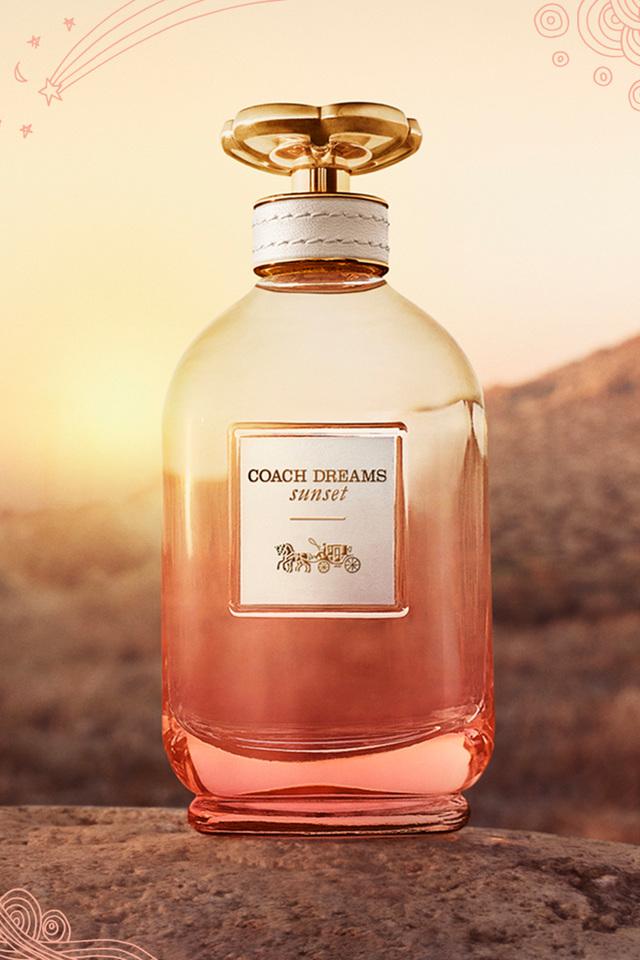 Coach outlet dreams fragrance