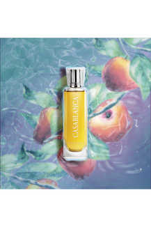 Casablanca perfume original new arrivals