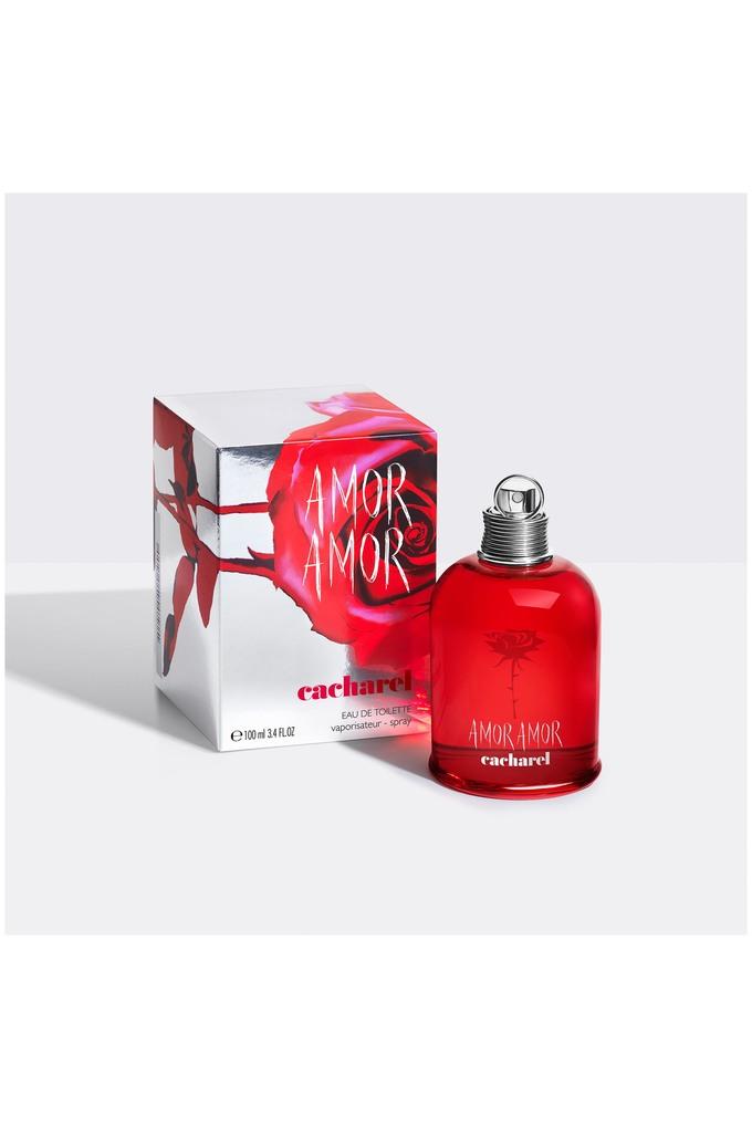 Rose best sale amore perfume