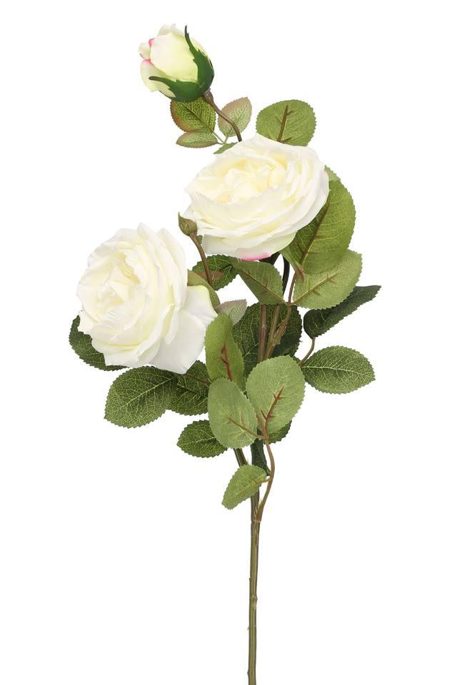 Buy IVY White Artificial Cabbage Rose Flower Stem