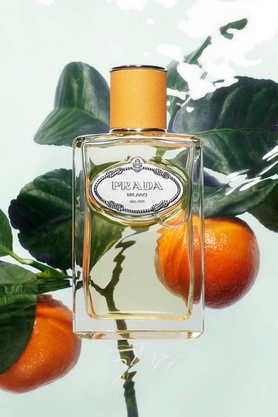 Prada mandarin perfume new arrivals