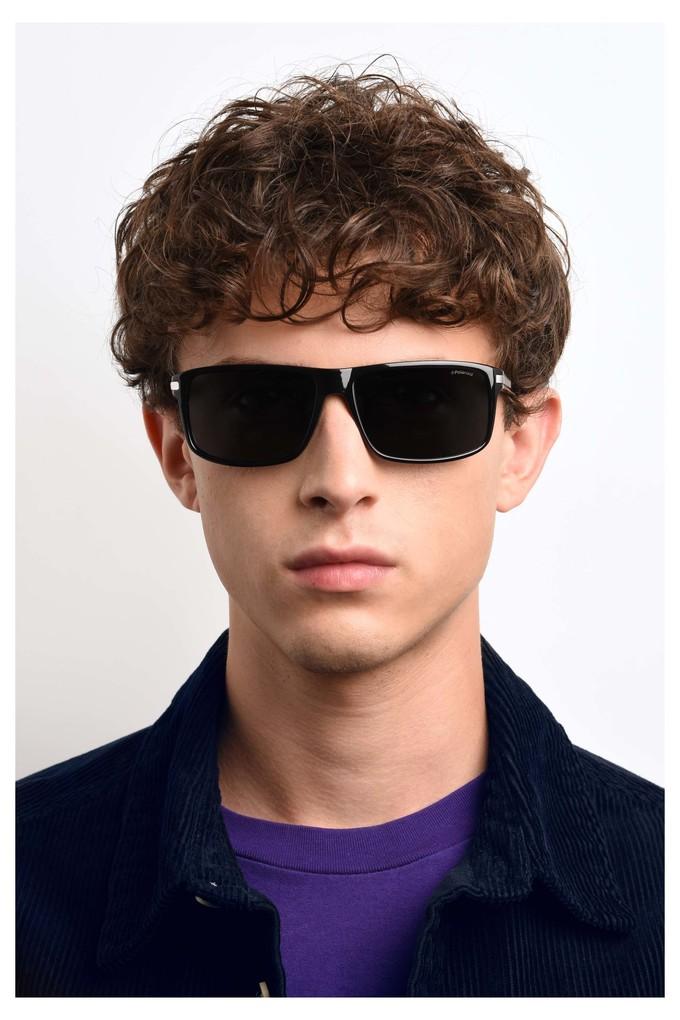 Polaroid store sunglasses 2019