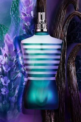 Jean paul gaultier le male best sale eau de toilette 125 ml