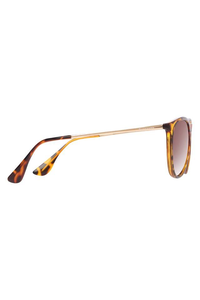 SAINT LAURENT Cat Eye Sunglasses in Havana | The New Trend