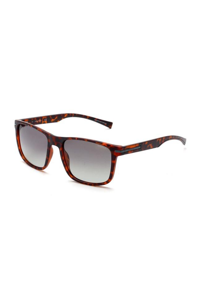 Wayfarer Polarized Classic Sunglasses | Golden Brown