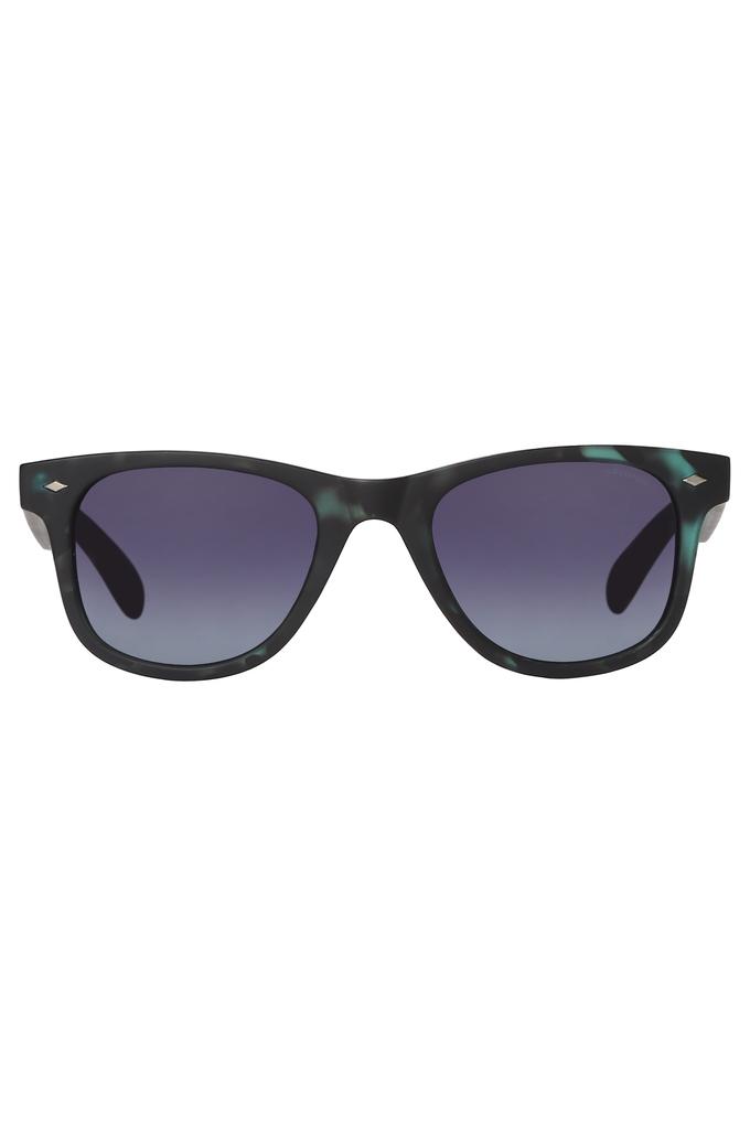 Polaroid 2024 wayfarer sunglasses