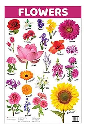 Buy Crossword Flowers Charts Shoppers Stop