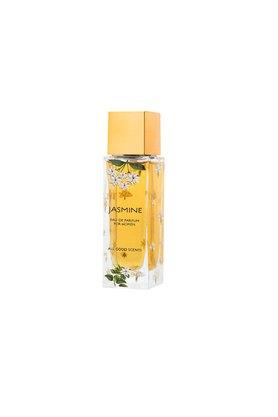 Zara star jasmine and best sale candy perfume