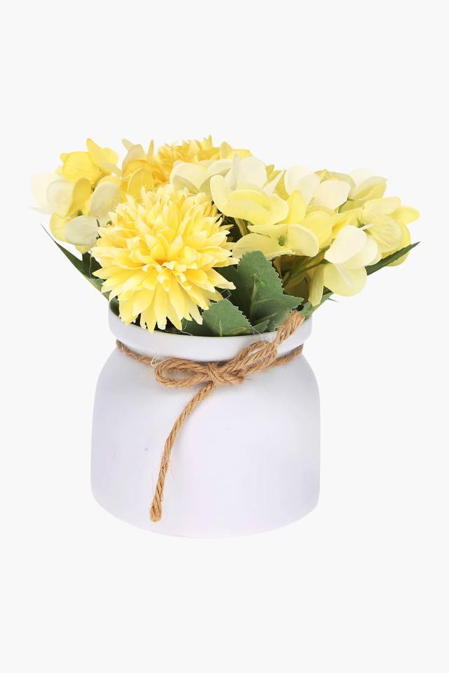 Buy IVY Round Solid Potted Daisy Flower Shoppers Stop