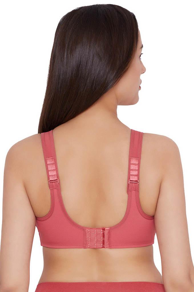 Buy Rose Bras for Women by Amante Online