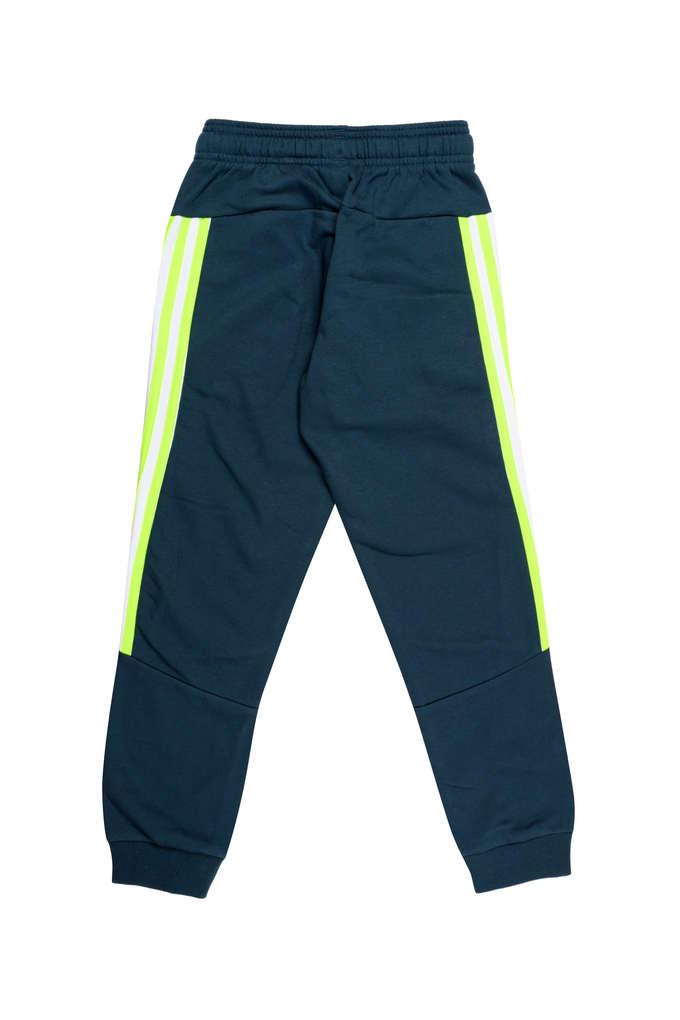 Adidas triangle store dot track pants