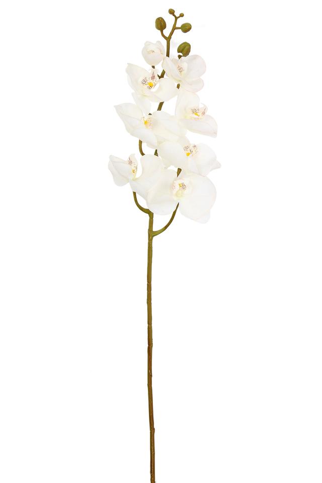 Artificial sale white orchid