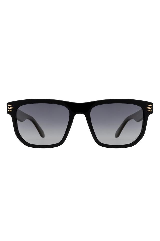 Panther sunglasses cheap