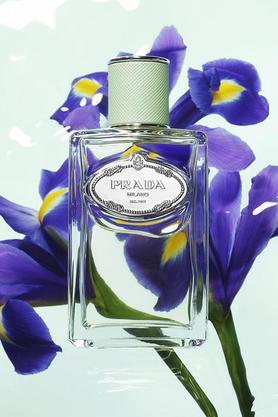 Prada milano best sale iris perfume