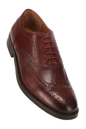 Steve hot sale madden brogues