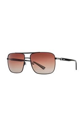 Persol 2430 cheap