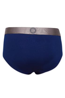 Buy CALVIN KLEIN UNDERWEAR Blue Solid Polyester Stretch Mens Briefs