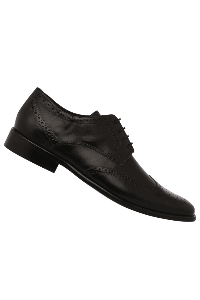 Hidesign store formal shoes