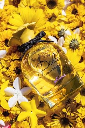 Dolce & gabbana shine eau de parfum new arrivals