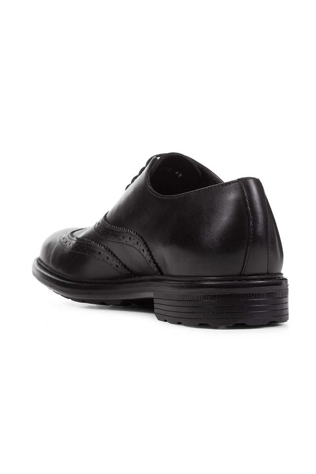 GEOX -  Black Casuals Shoes - Main