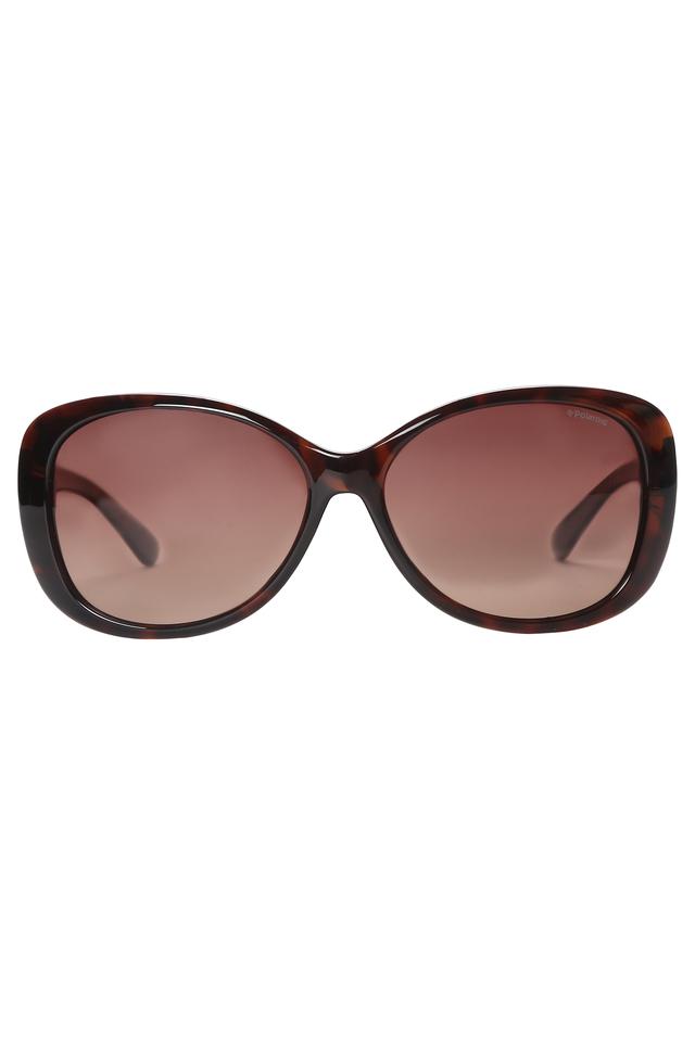 POLAROID - Sunglasses & Frames - Main