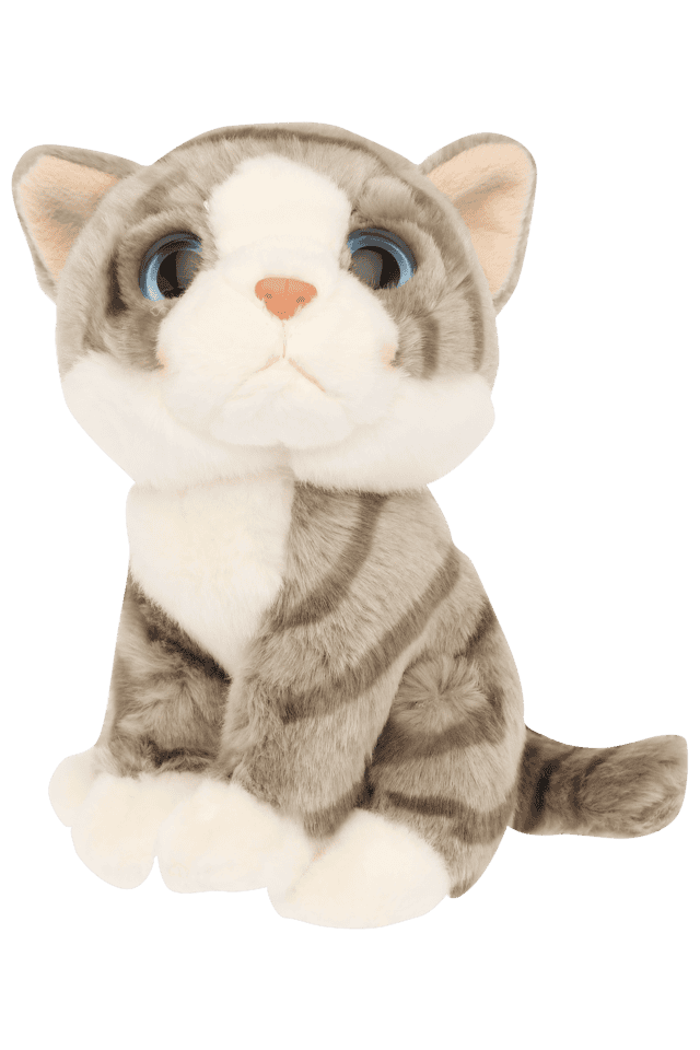 Kitten sale cuddly toy