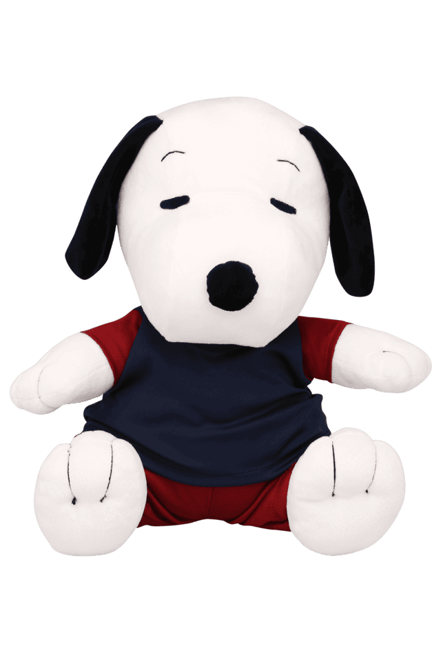 Snoopy Toys