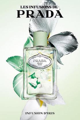 Prada iris online 100ml