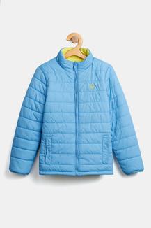 Ucb 2024 blue jacket