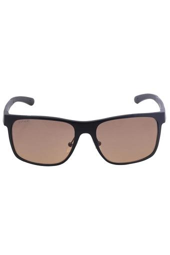 titan wayfarer sunglasses