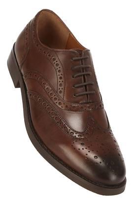 Steve store madden brogues