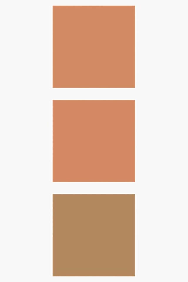 MAYBELLINE NEW YORK - Brown Face - 1