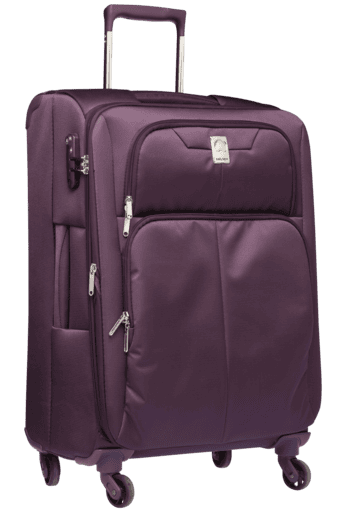 delsey purple