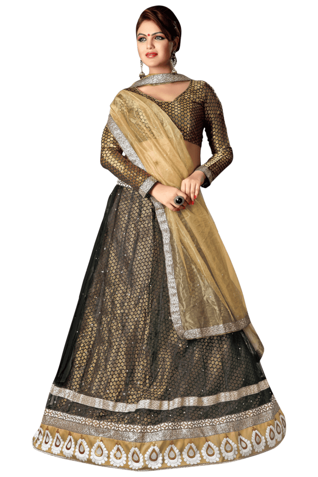 Ritwa Brocade Lehenga – POSHAK